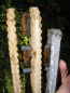 Preview: Schwegler Fledermaushöhle 1FD